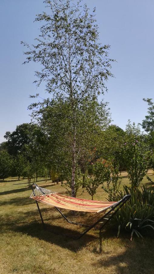 Le Mas De Carrie Bed & Breakfast Parisot  Ngoại thất bức ảnh