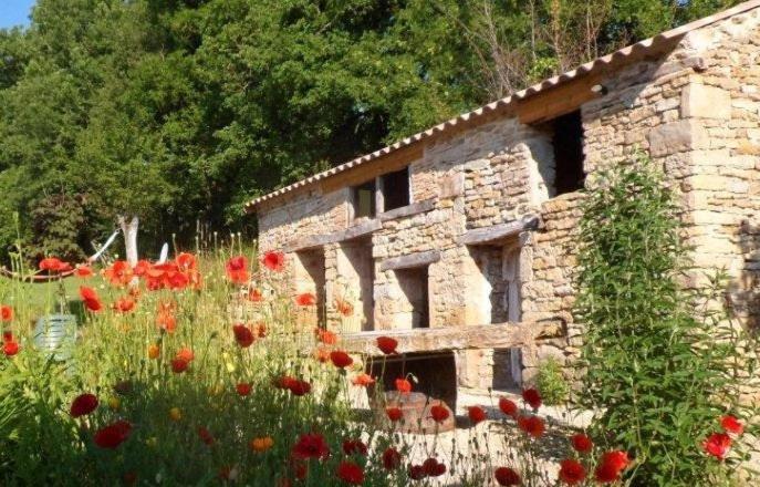 Le Mas De Carrie Bed & Breakfast Parisot  Ngoại thất bức ảnh