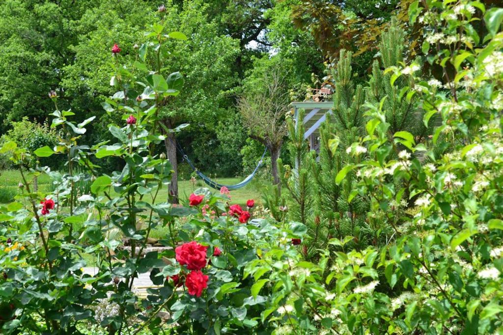 Le Mas De Carrie Bed & Breakfast Parisot  Ngoại thất bức ảnh